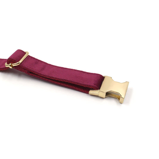 Fluwelen Halsband Bordeaux